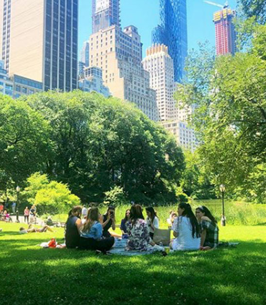 group of women sitting in a park